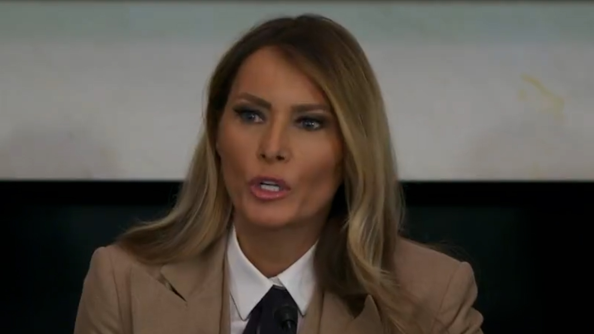 Melania Trump Calls Out Democrats 