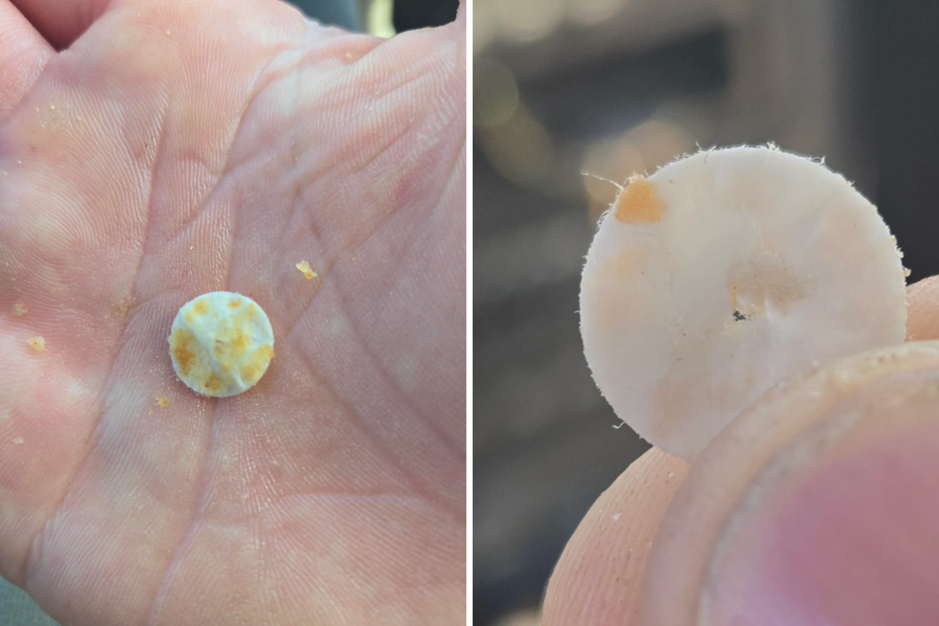 Burger King Customer Says He Found Mysterious Object in Chicken Nuggets