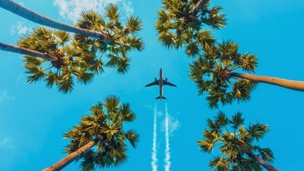 Airplane over palm trees