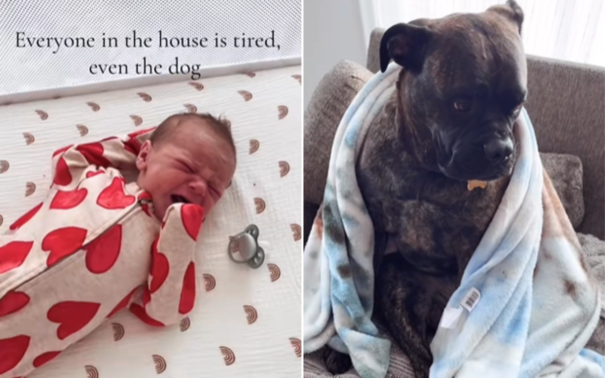 Steph Charbonneau's son Brooks and dog Jolene.