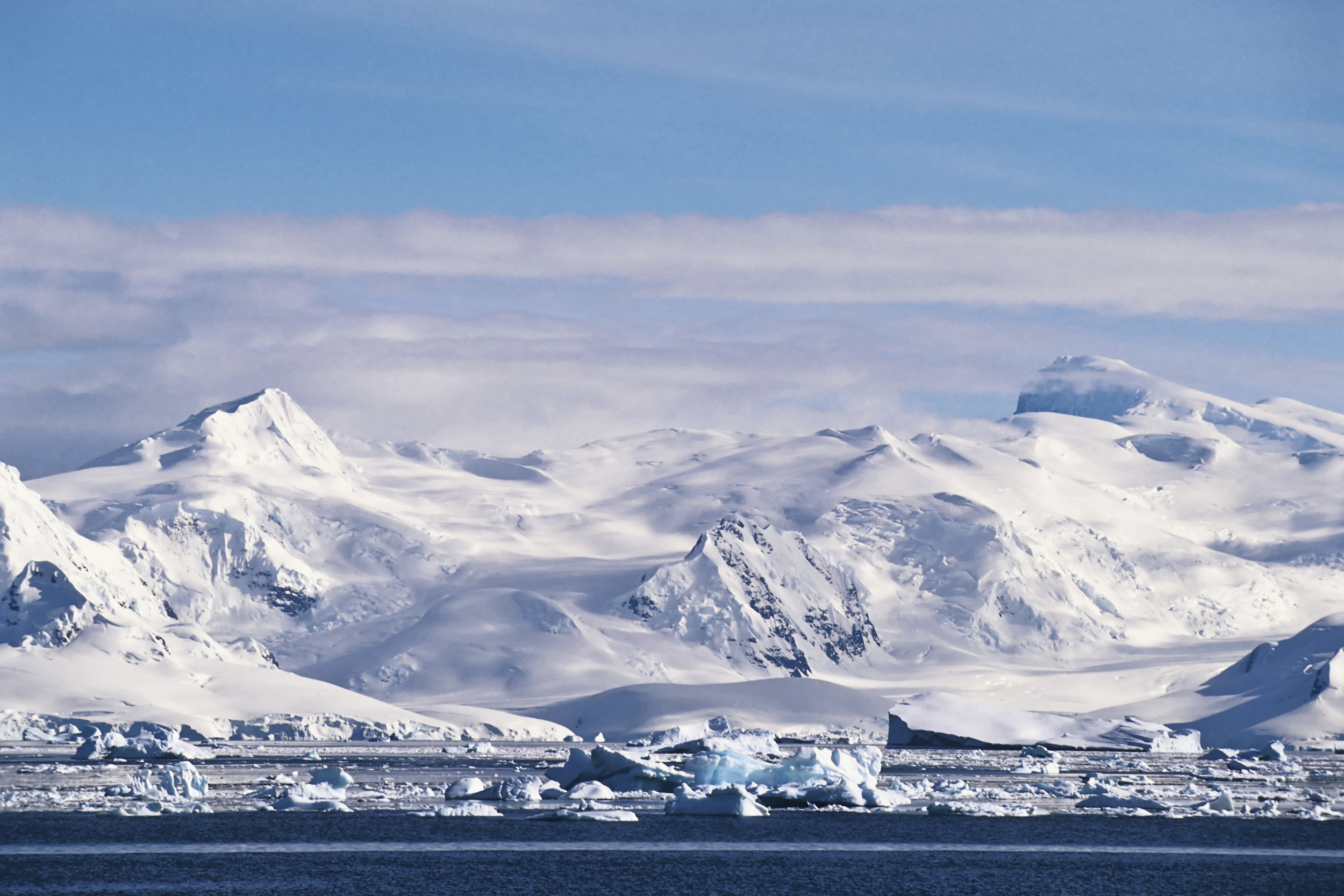 South African Scientists Plead for Rescue Amid Colleague's Violent Threats in Antarctica