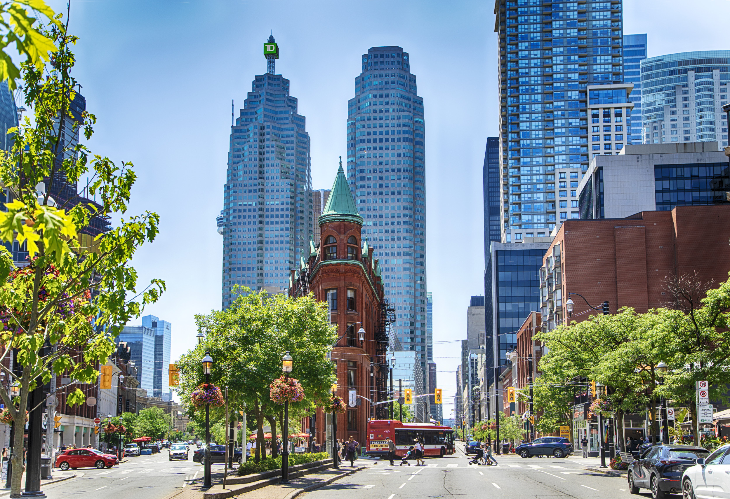 ‘Random’ Tree in Toronto Becomes Viral Tourist Attraction ‘Random’ Tree in Toronto Becomes Viral Tourist Attraction