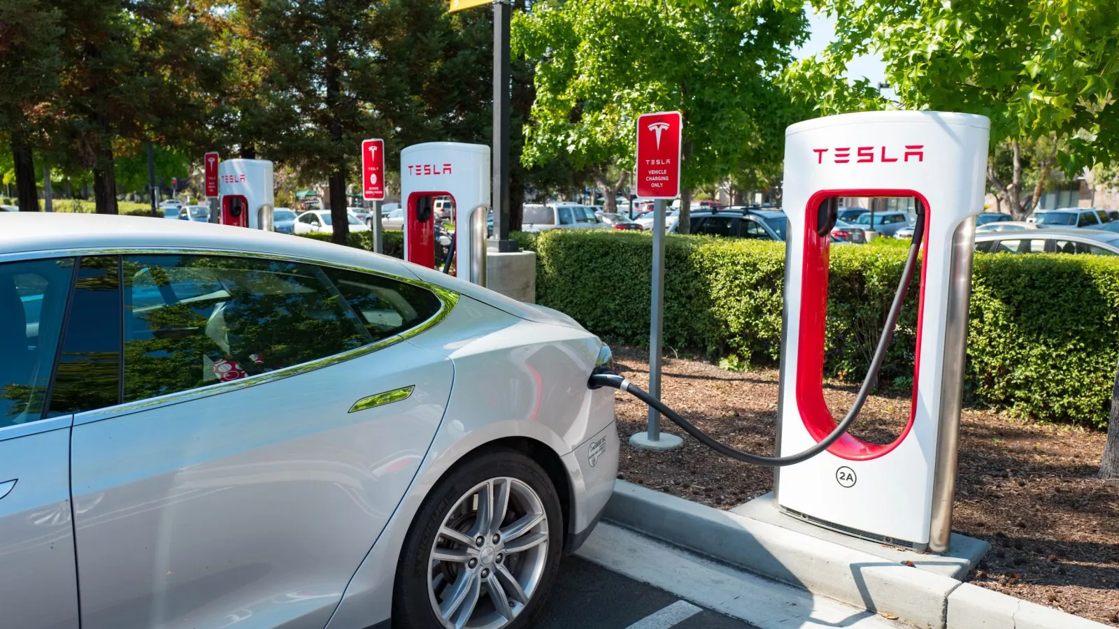 Elon Musk's Brother Sells $27 Million Worth of Tesla Stock