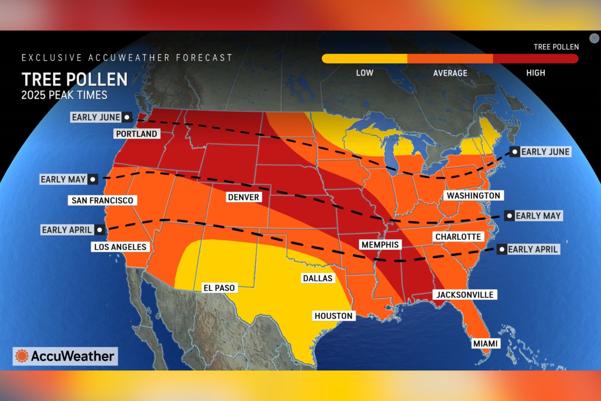 Maps Show States Facing 'intense' Allergy Season - Newsweek