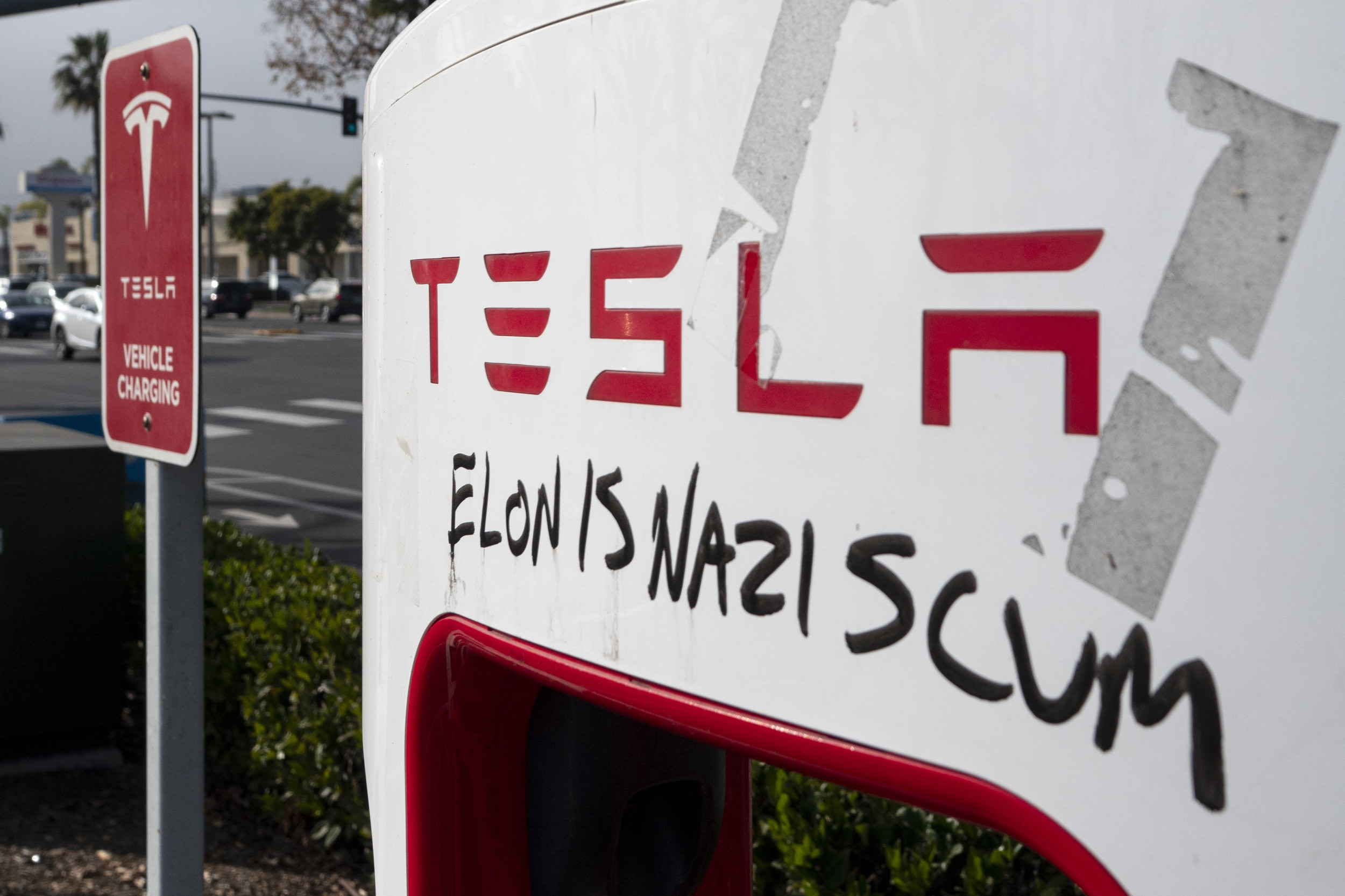 Disabled Woman Who Had Tesla Vandalized Speaks Out