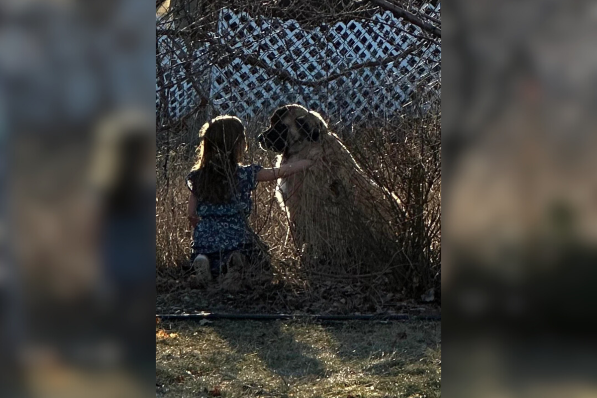 Girl says bye to dog