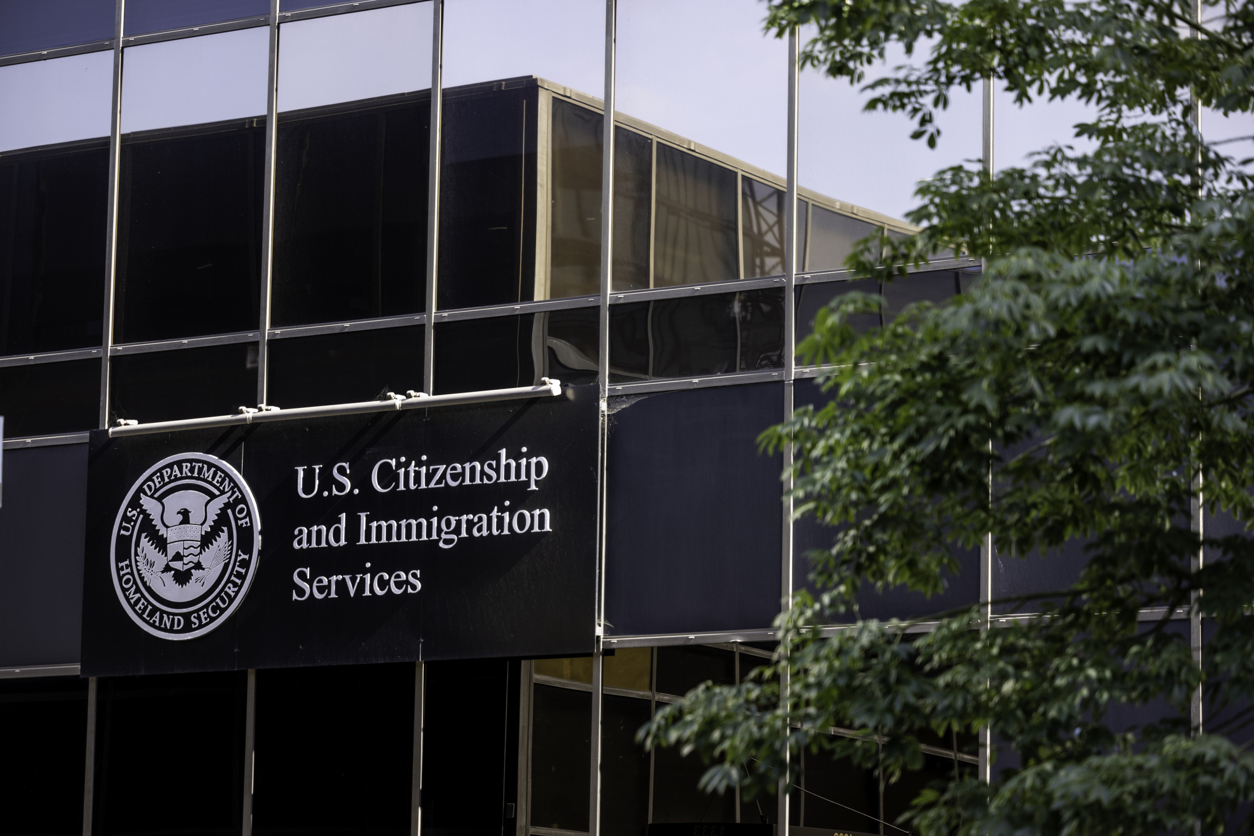 Trump Administration Pauses Some Green Card Applications
