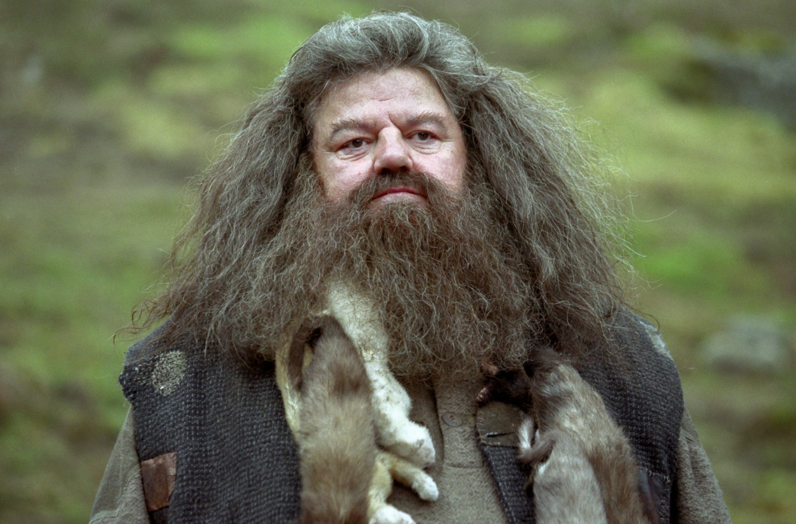 Harry Potter Reboot May Have Found Its Hagrid