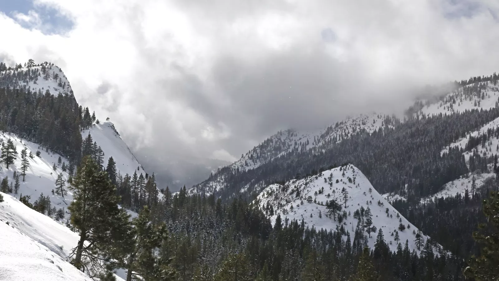 California hits snow milestone for first time in 25 years