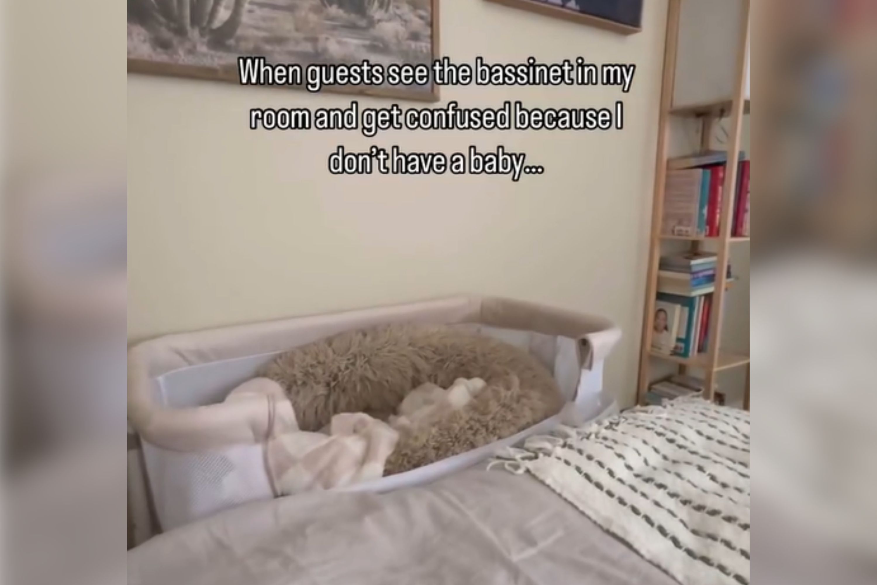 Childless Woman Has Bassinet in Bedroom, Then People Realize Who Its For