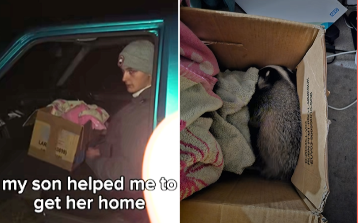 Woman Hears Noise Coming From the Woods, Not Prepared for Tragic Sight