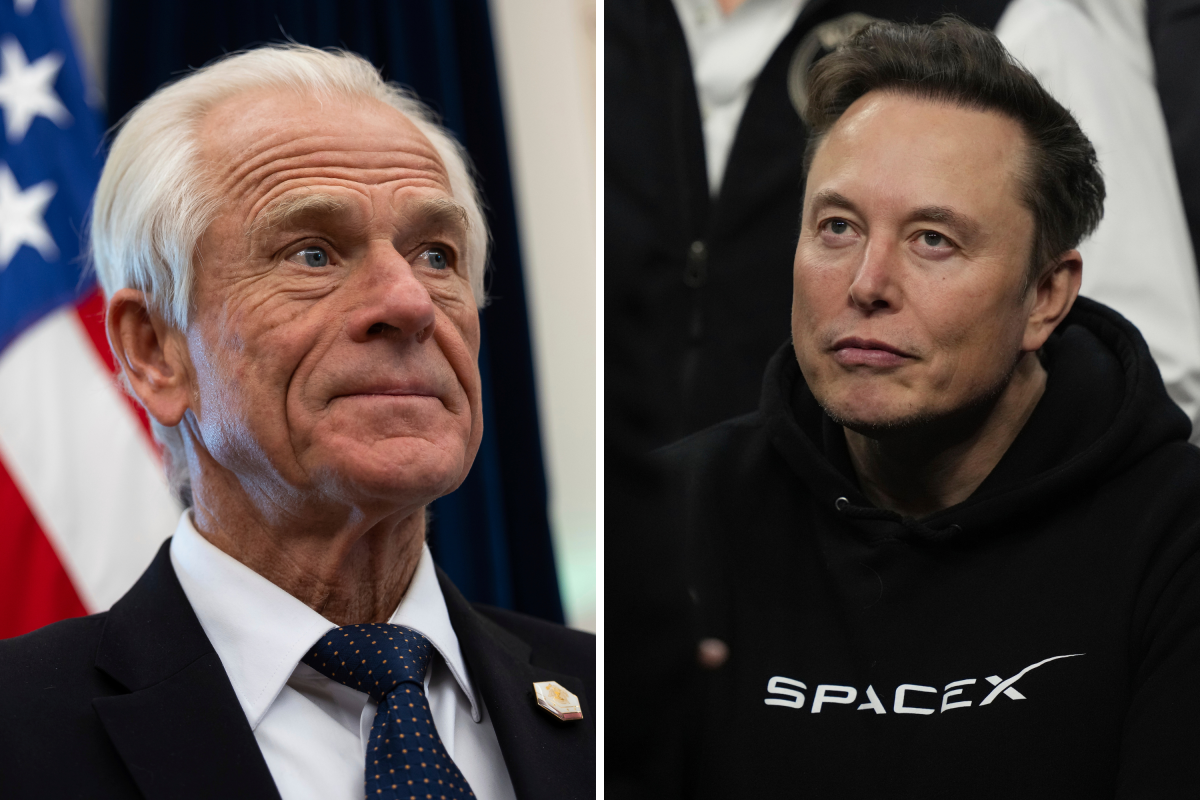 La Casa Blanca reacciona a la disputa entre Elon Musk y Peter Navarro: "Los chicos son chicos" - Newsweek