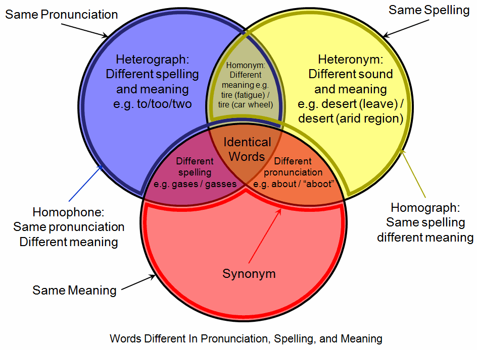 A venn diagram explaining homophones.