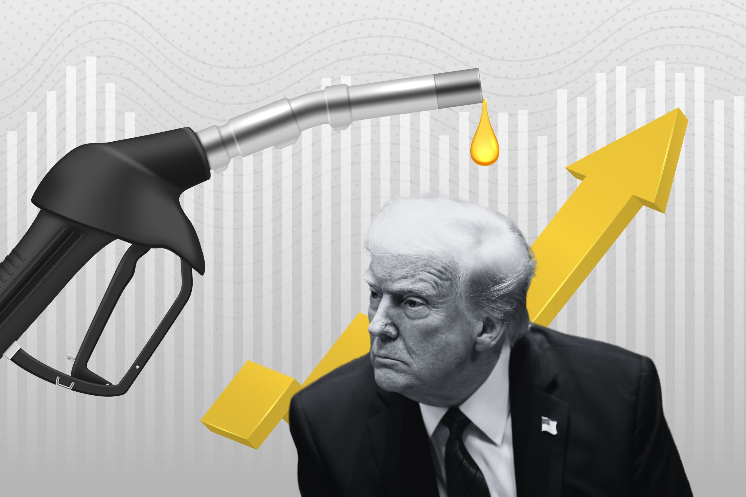 www.newsweek.com