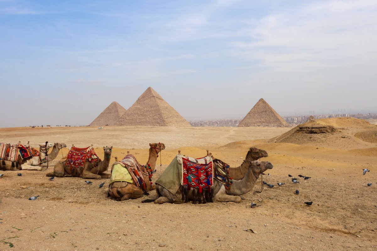 Giza Pyramids