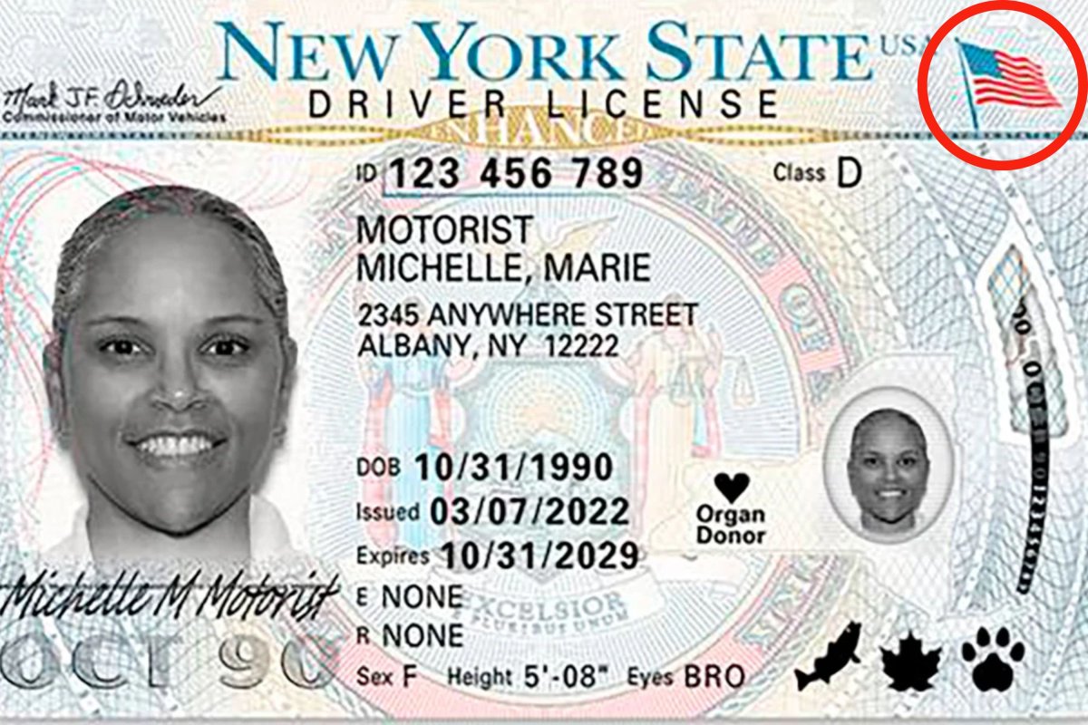 NY DMV