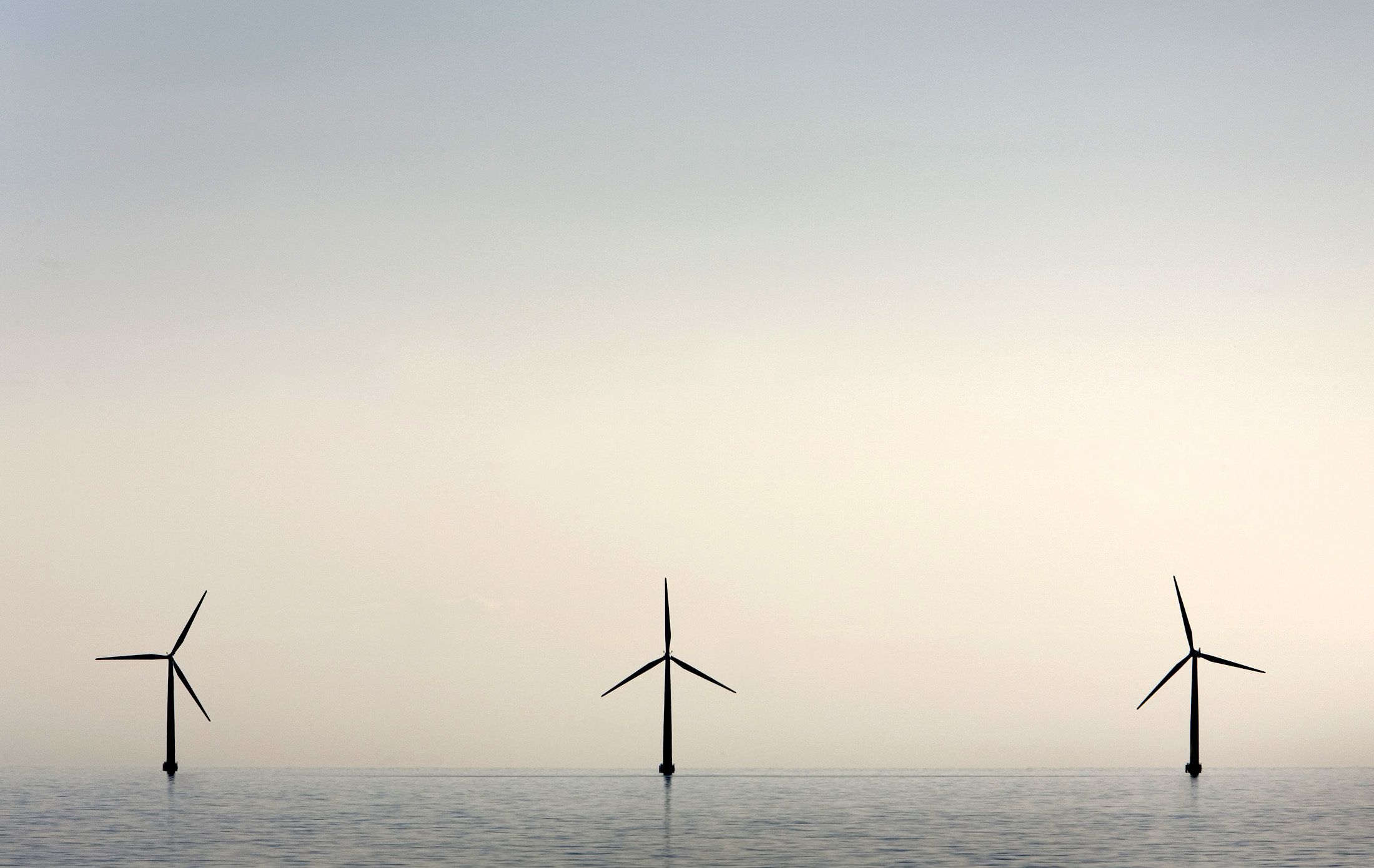 Copenhagen to Be the World's First CarbonNeutral Capital Newsweek