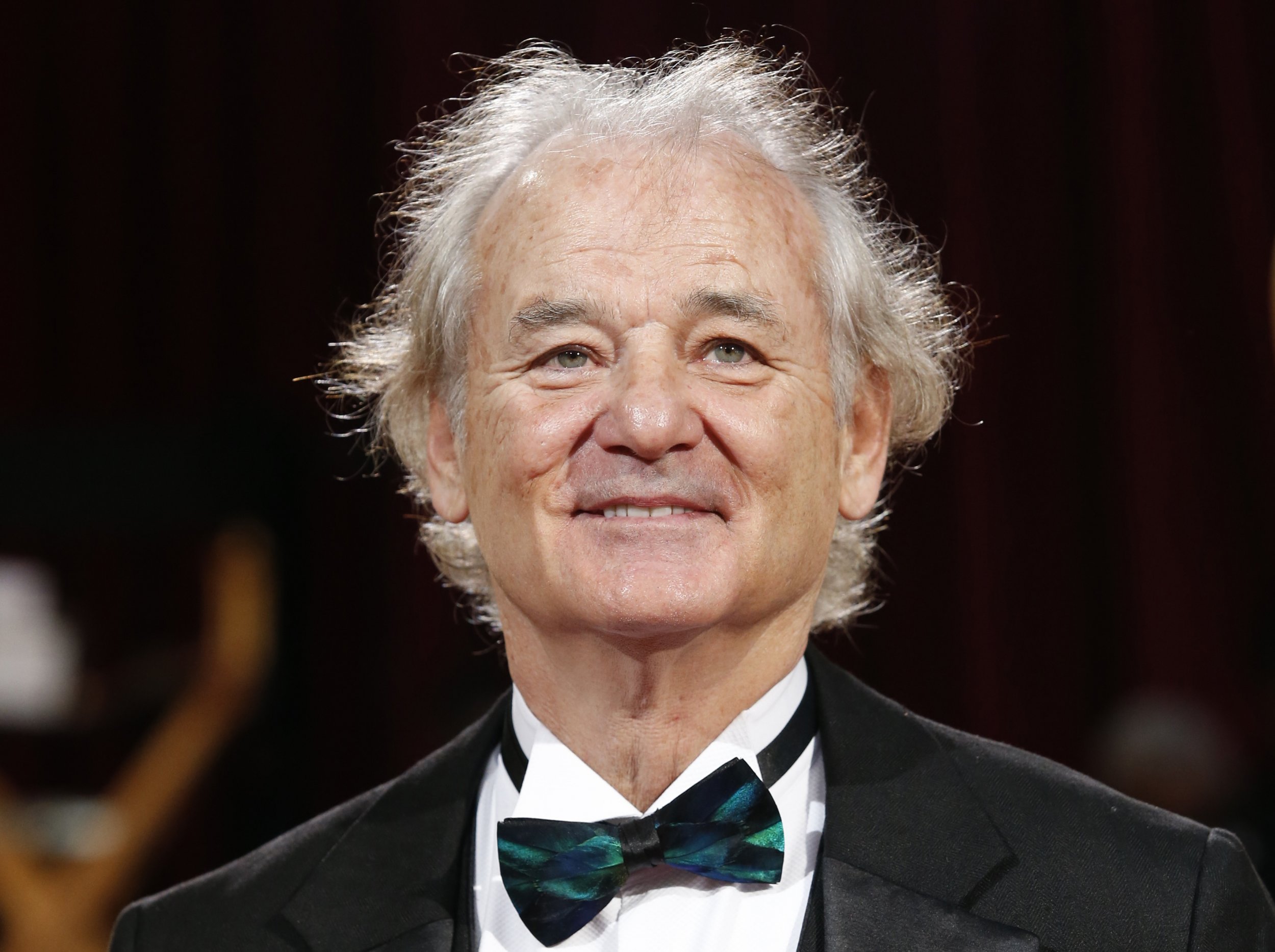 Bill Murray to Play Baloo the Bear in 'The Jungle Book' - Newsweek