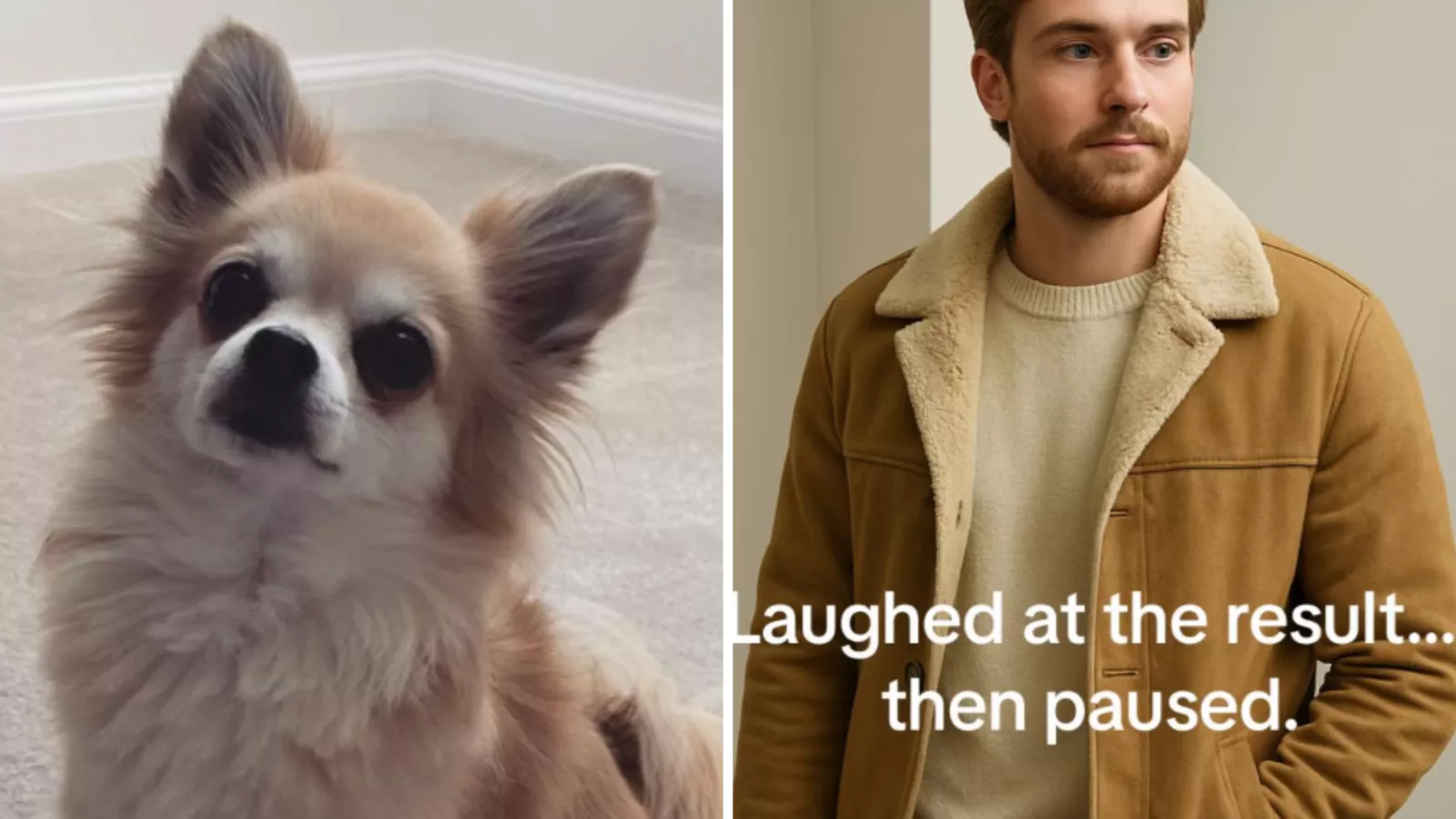 Woman uses ChatGPT to turn dog into human -- then realizes he looks familiar