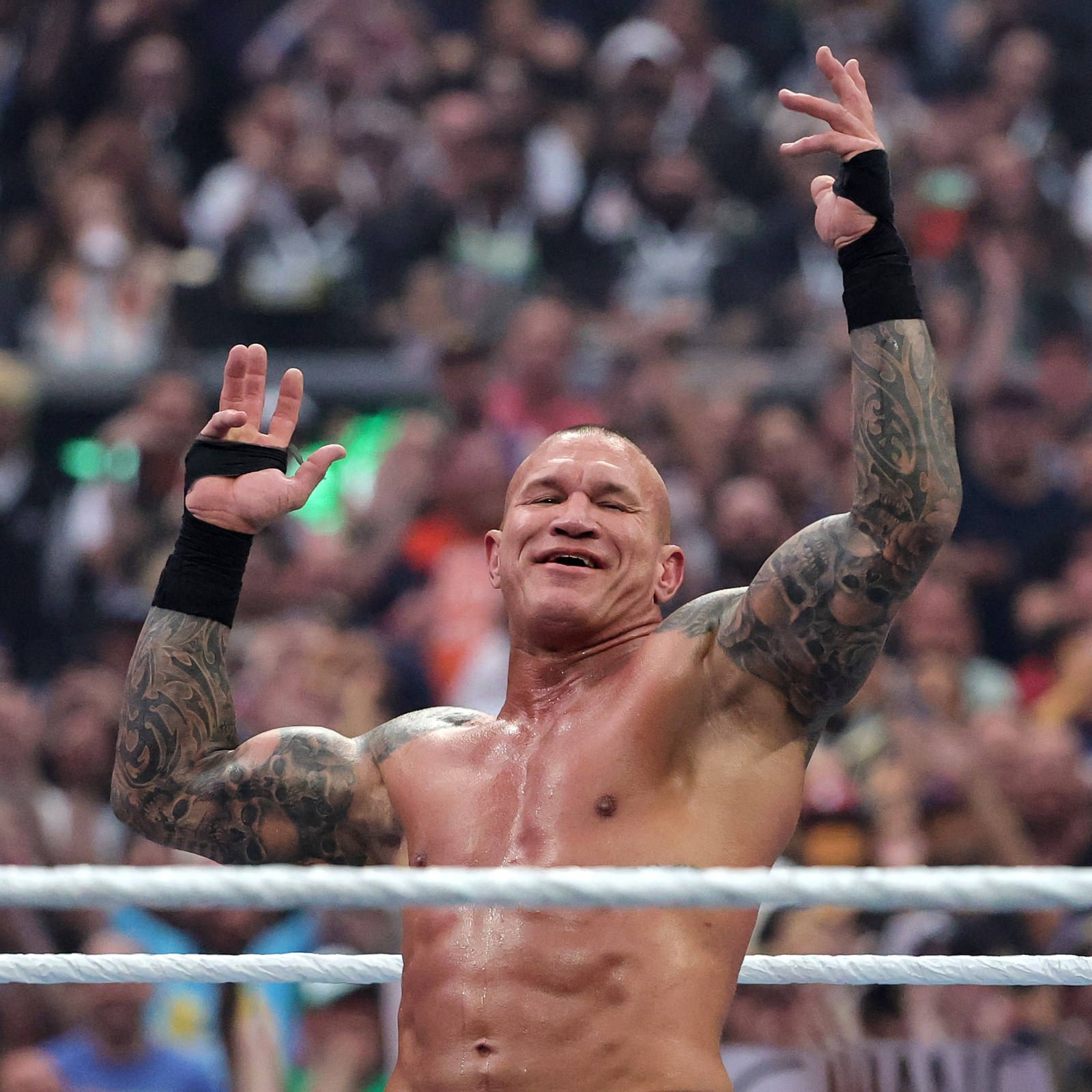 Wwe Randy Porte Wwe Randy Orton Campione Wwe Target Excl WWE Wrestling Rumblers RANDY