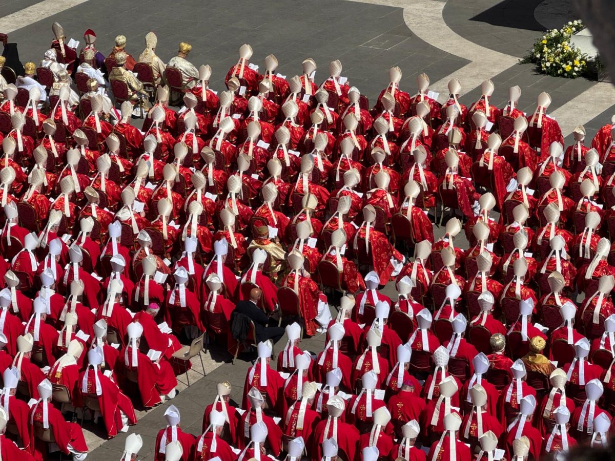 Cardinals at Pope Francis Funeral