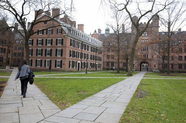Yale Yale