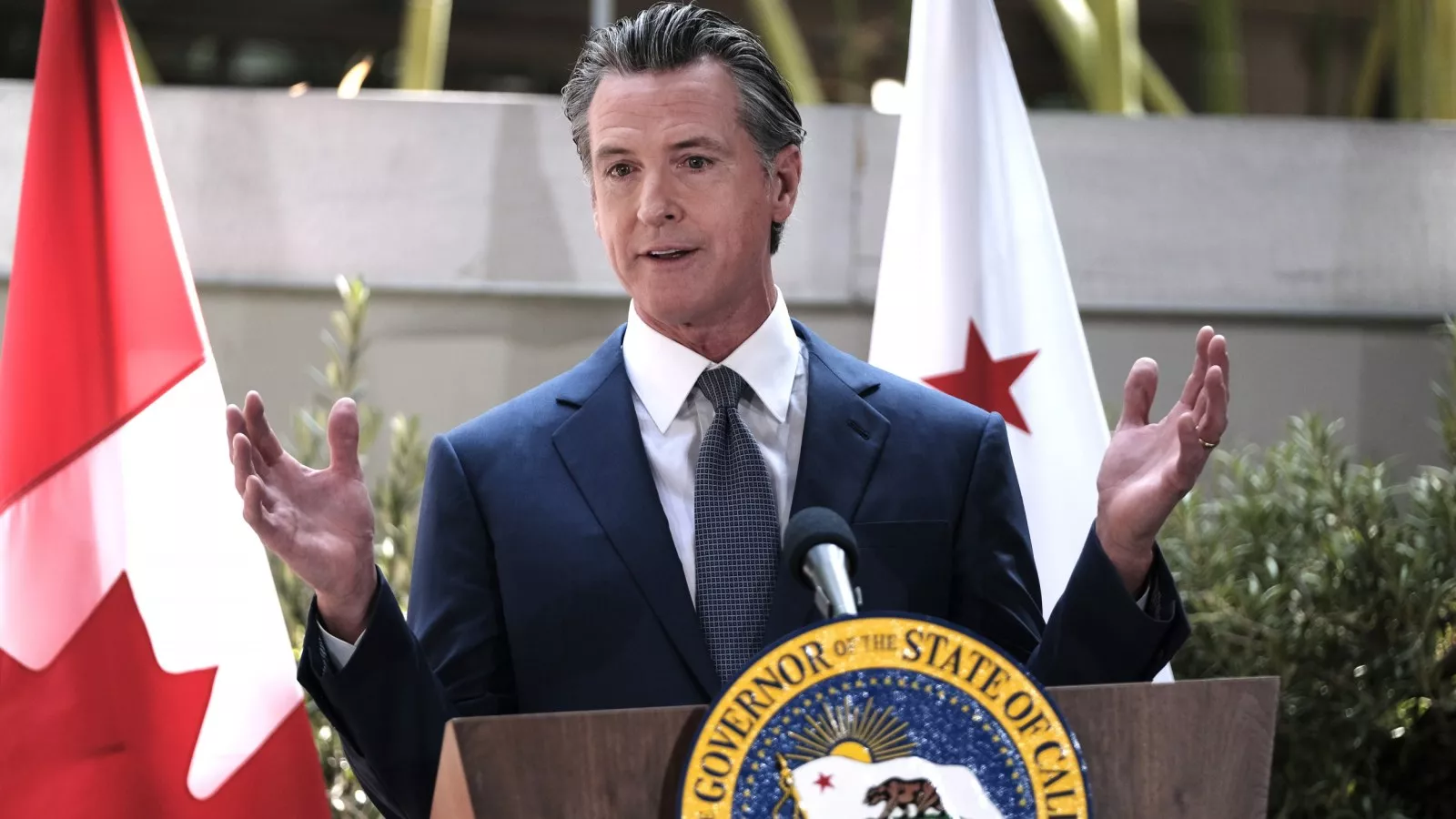 https://d.newsweek.com/en/full/2635314/newsom-canada.webp?w=1600&h=900&q=88&f=5444c2a231871742ebbe2c6fb2a03384