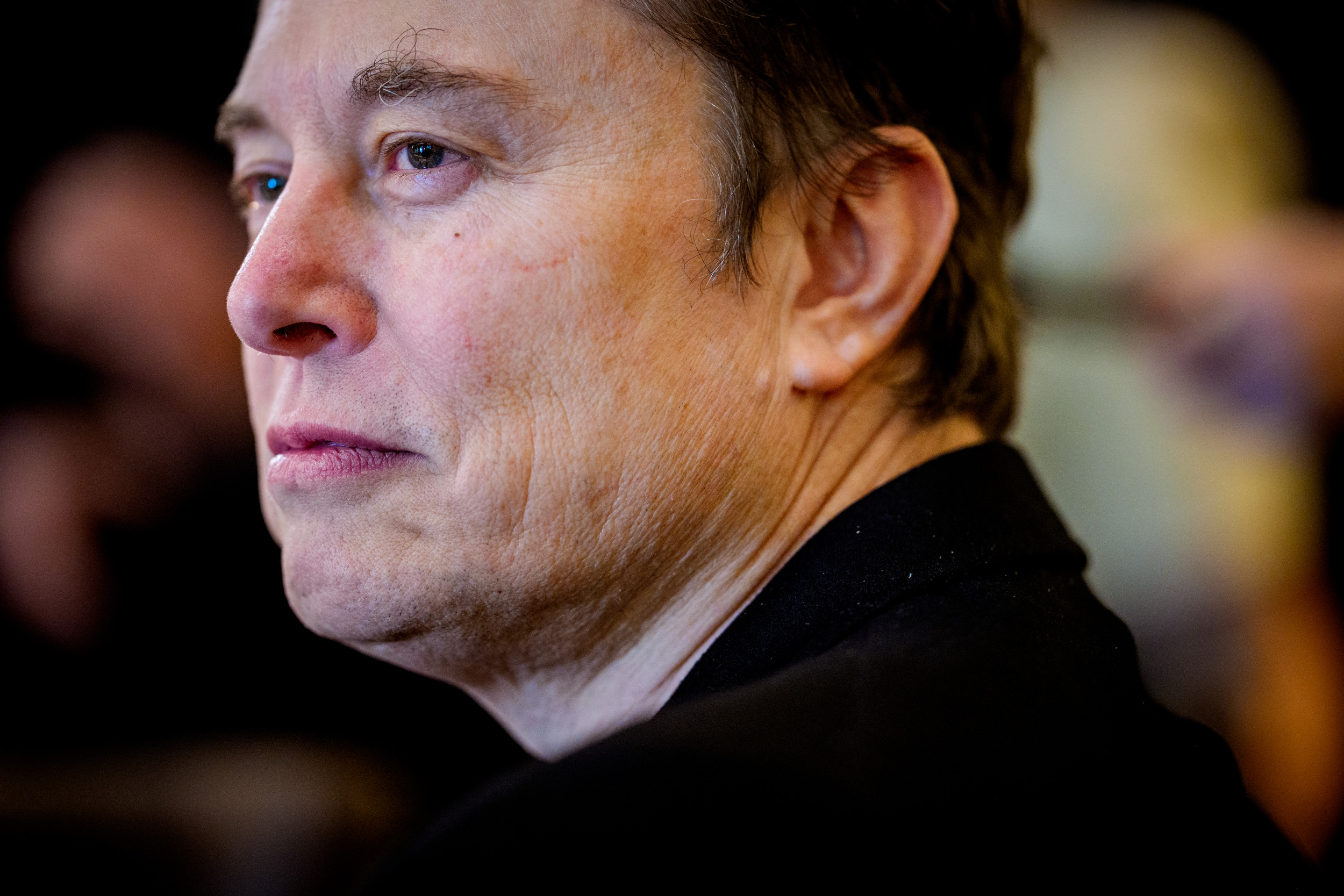 Tesla Board Explored Search for New CEO Amid Musk White House Focus: Report
