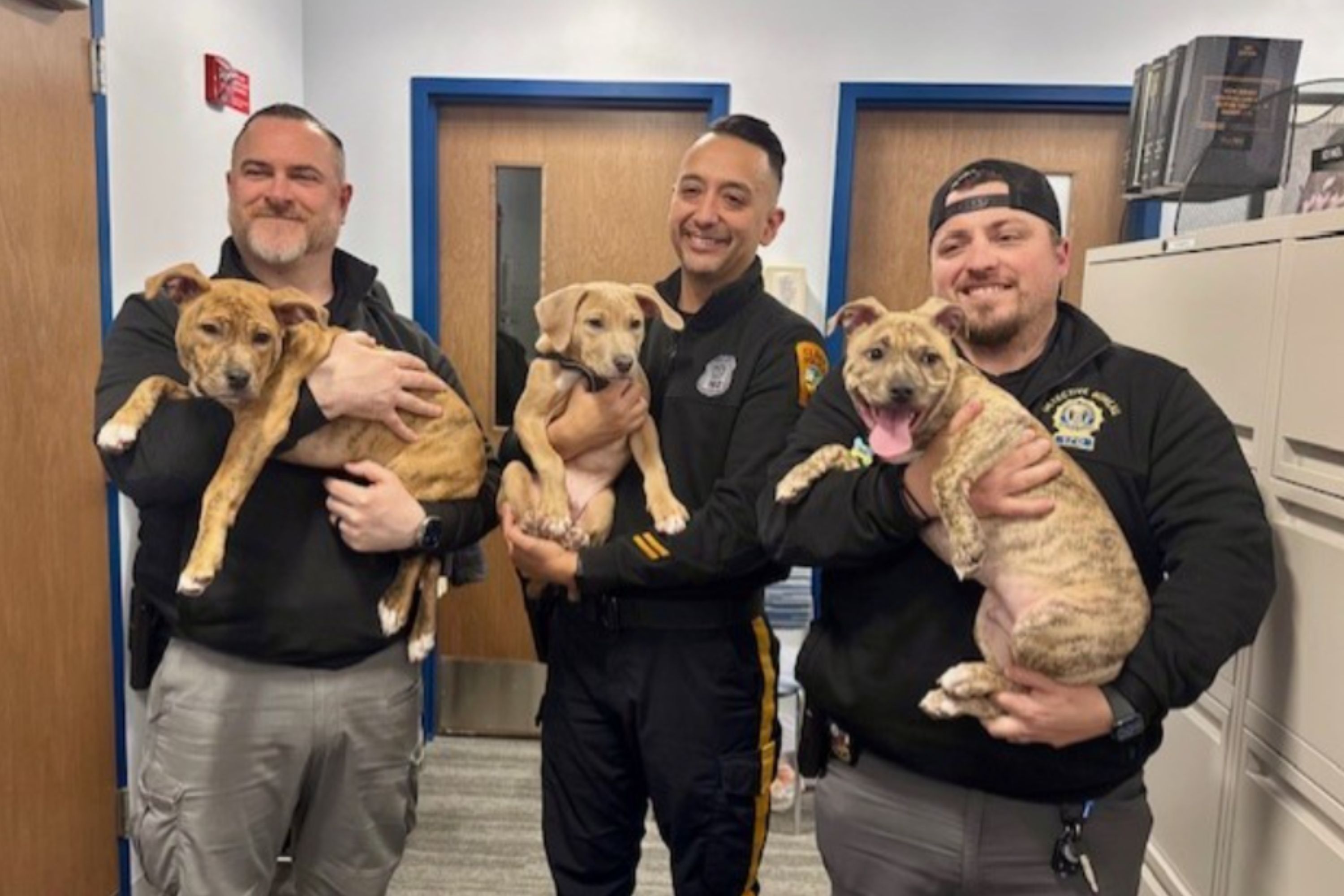 Abandoned Puppies Find Unexpected Forever Homes With Cops Who Rescued Them