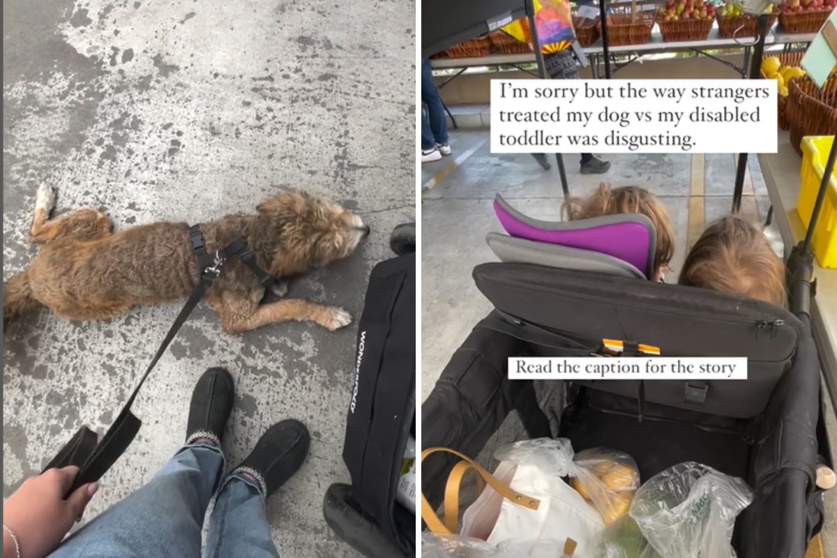 Dog and children at market