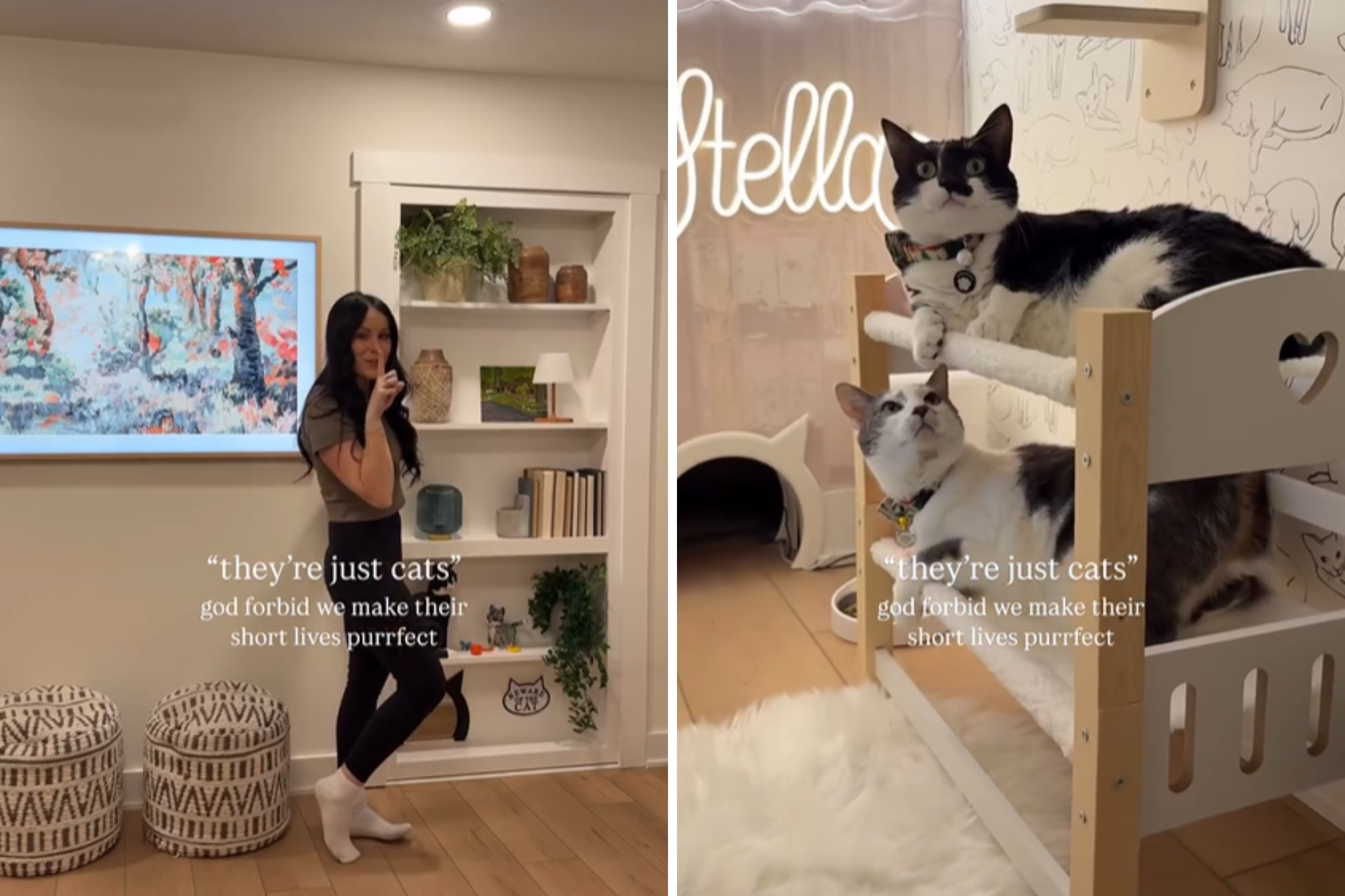 Awe As Newlyweds Build Their Cats Hidden Bedroom Inside House: Goals