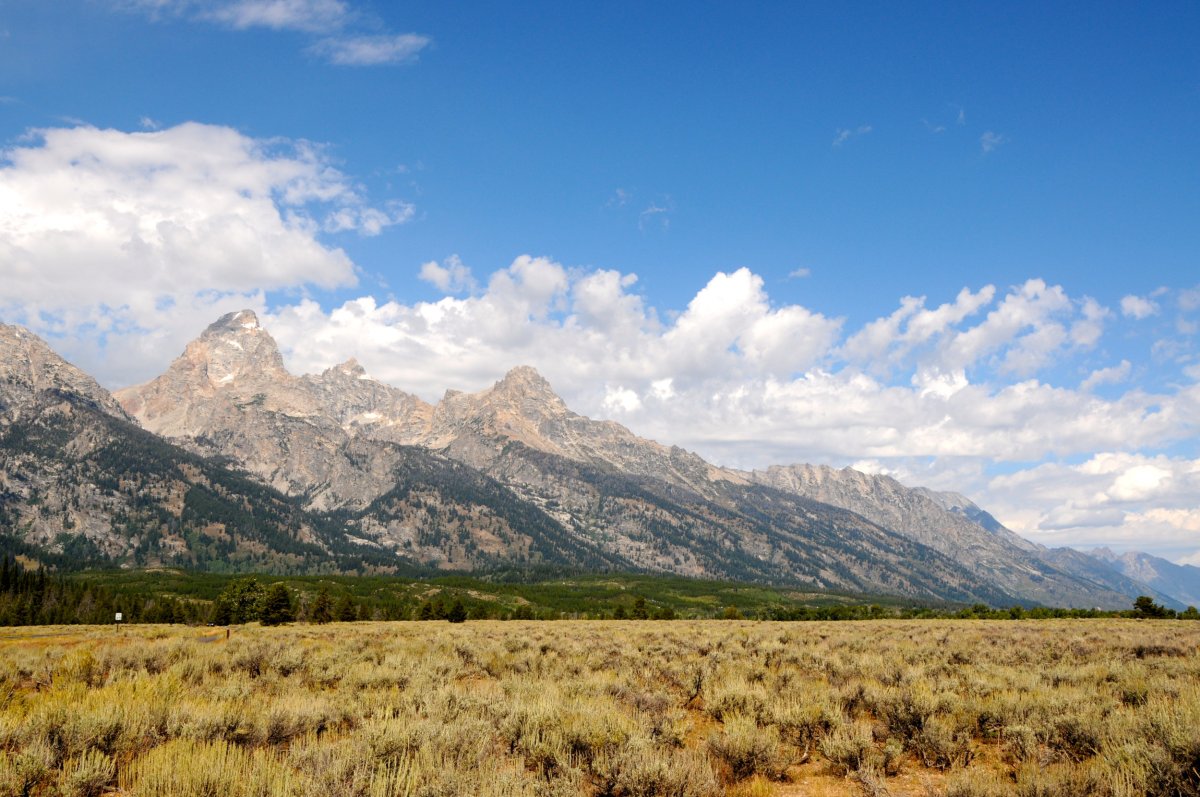 Yellowstone National Park