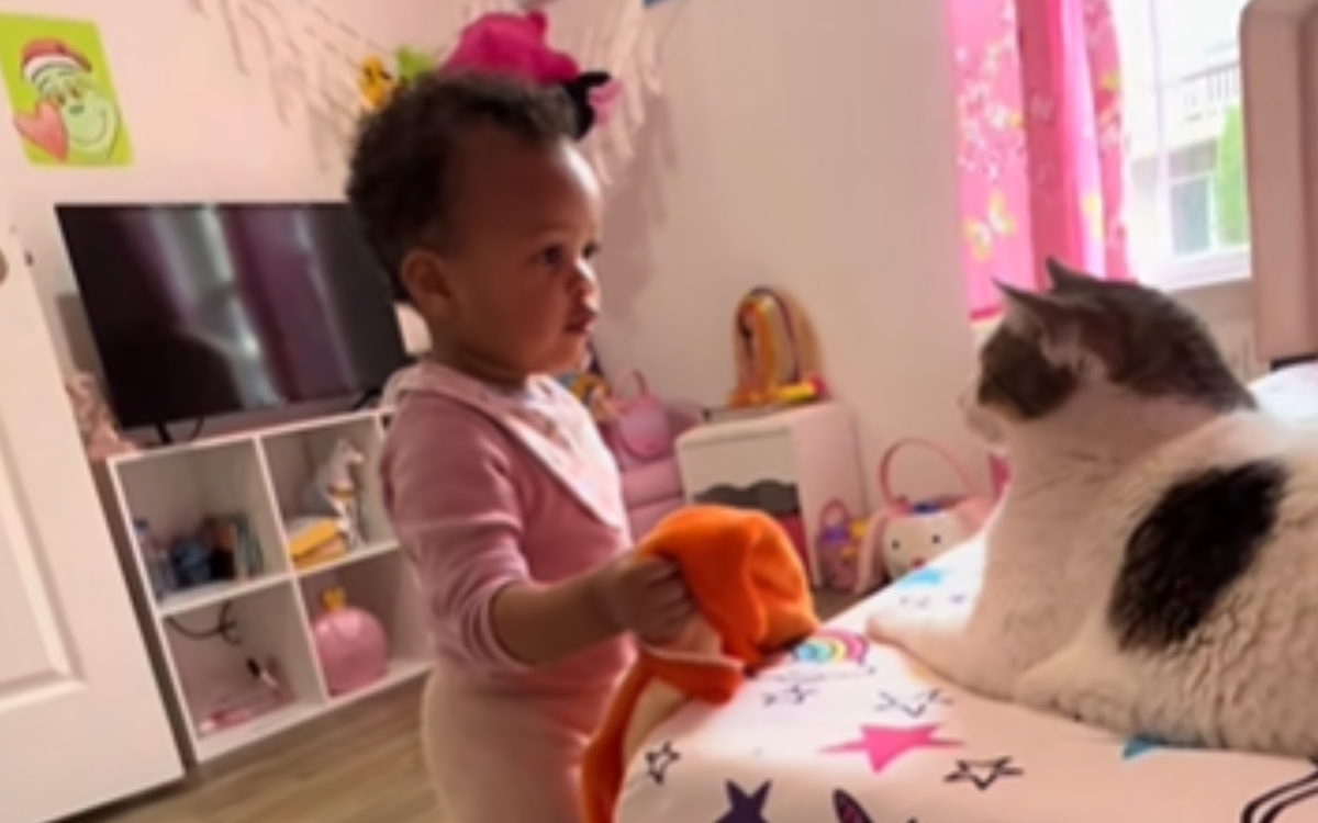Hysterics as Toddler Cant Talk Properly Yet, But She Fluently Speaks Cat