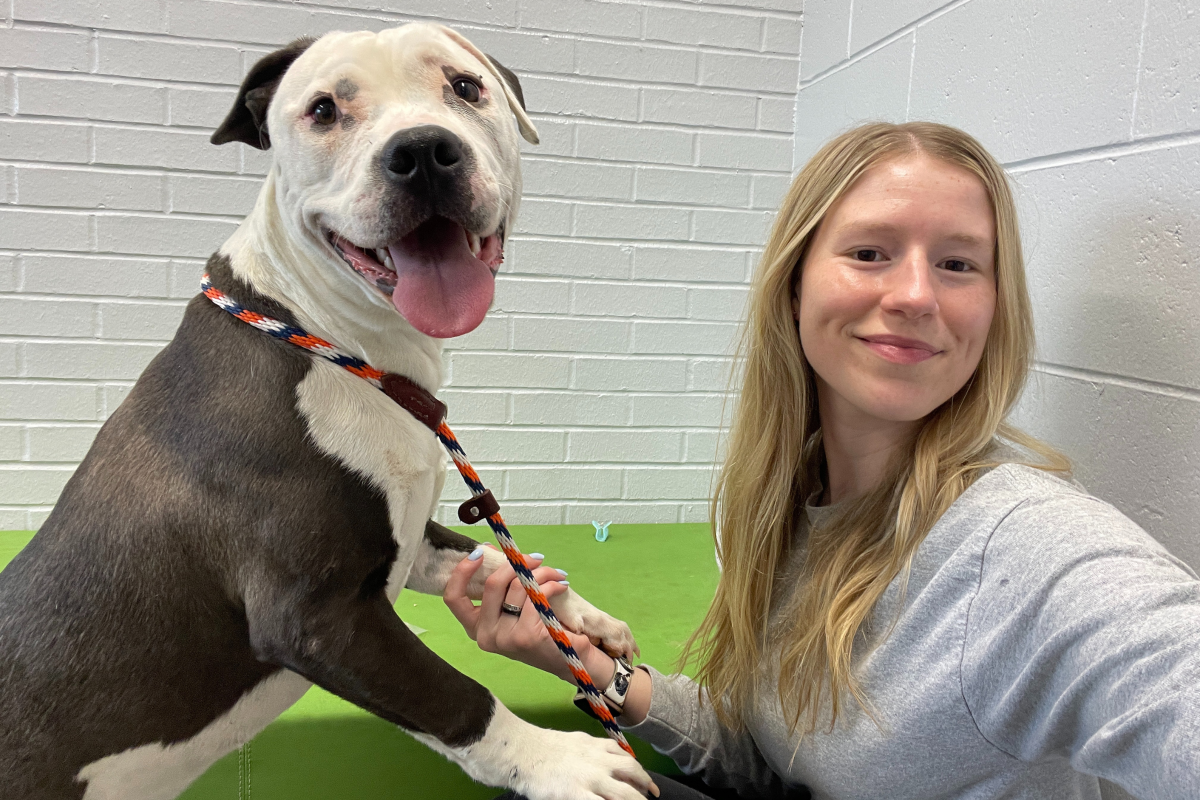 Ladybug rescue dog