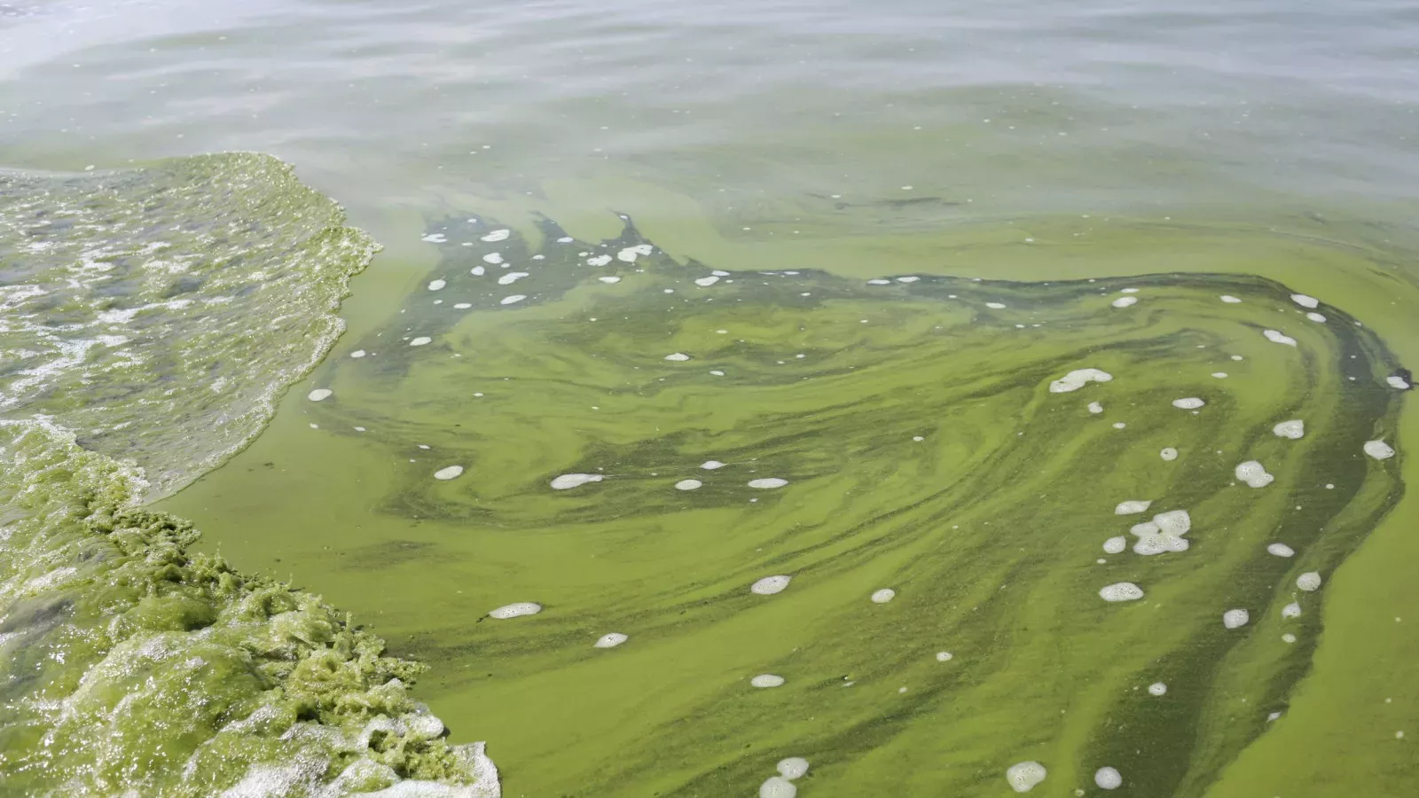 https://d.newsweek.com/en/full/2640137/lake-erie.webp?w=1600&h=900&q=88&f=7552d64852958b68ab957682f9ecc03c