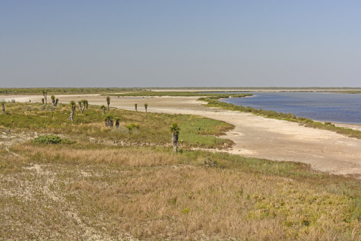 Luguna Atascosa stock photo