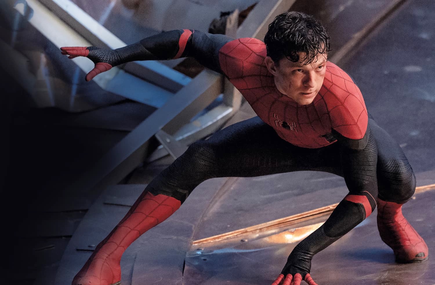 Fan-Favorite Star From The Bear Cast in Spider-Man 4