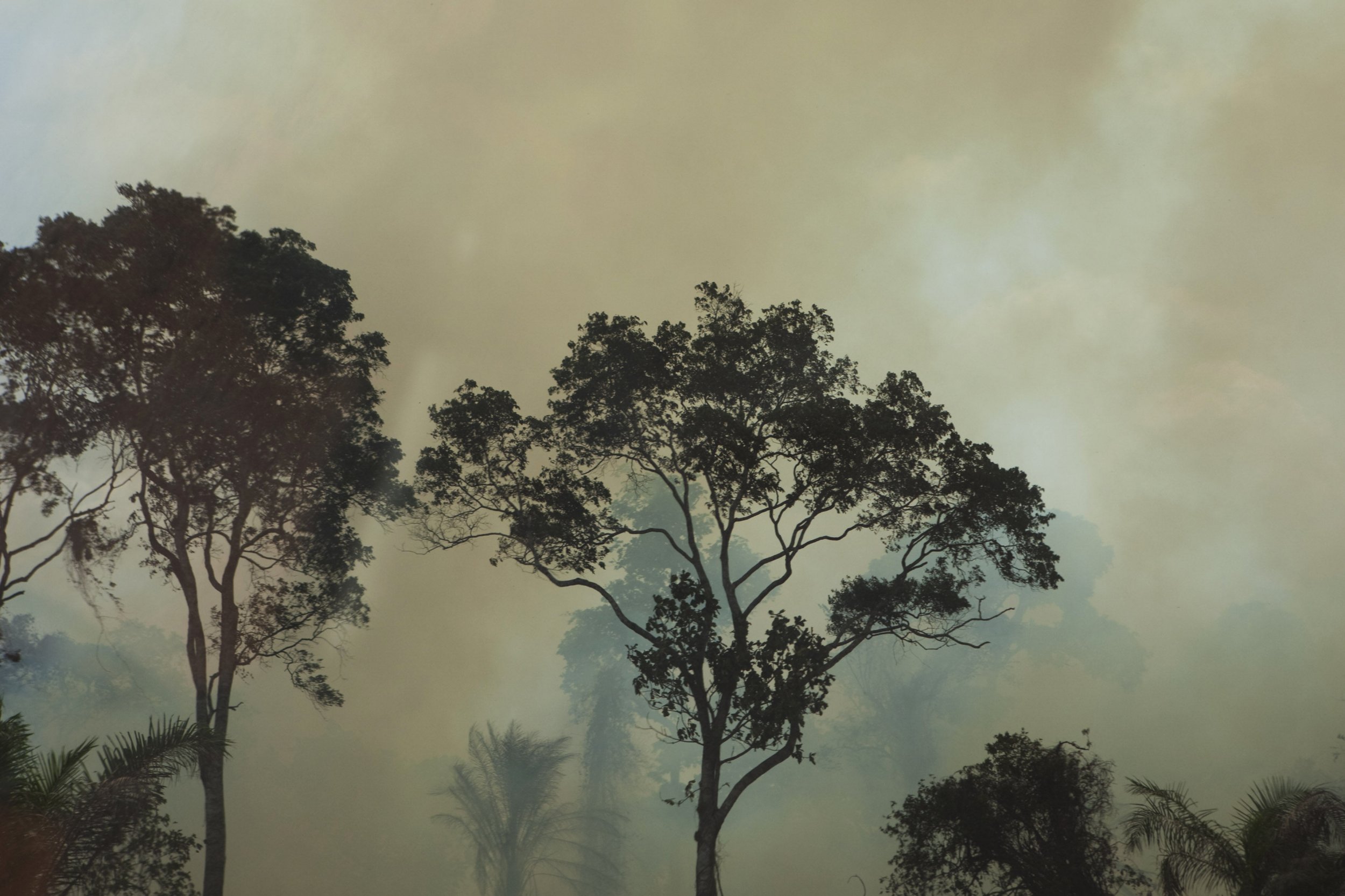 burning-forest-sierra-leone