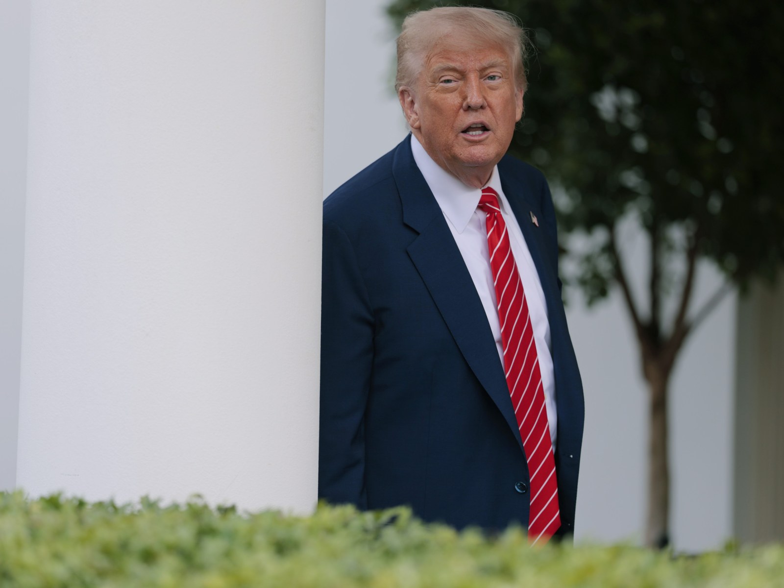 Donald Trump Calls Biden's Digital Equity Act 'Racist' - Newsweek