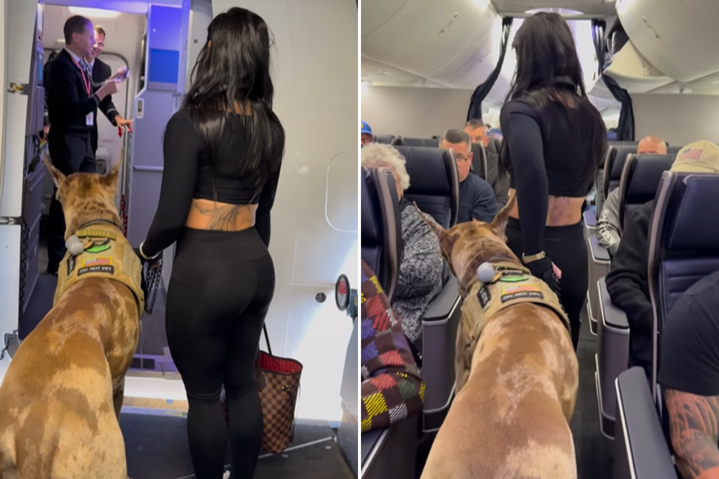 Woman Takes Service Dog on Flight, Nobody Prepared for What Breed It Is