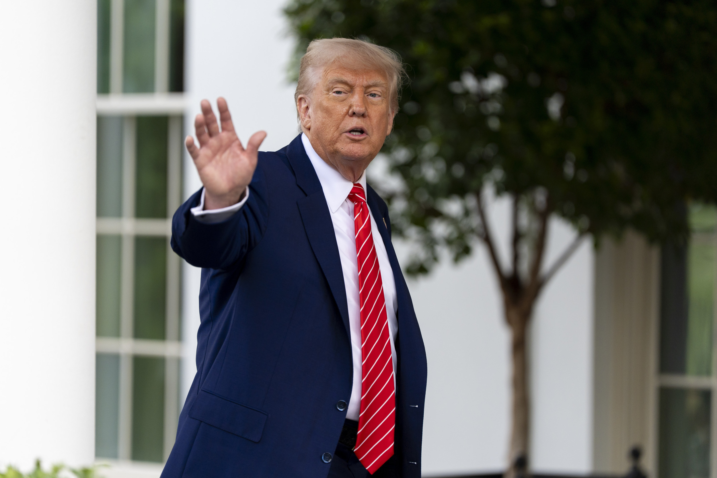 President Donald Trump