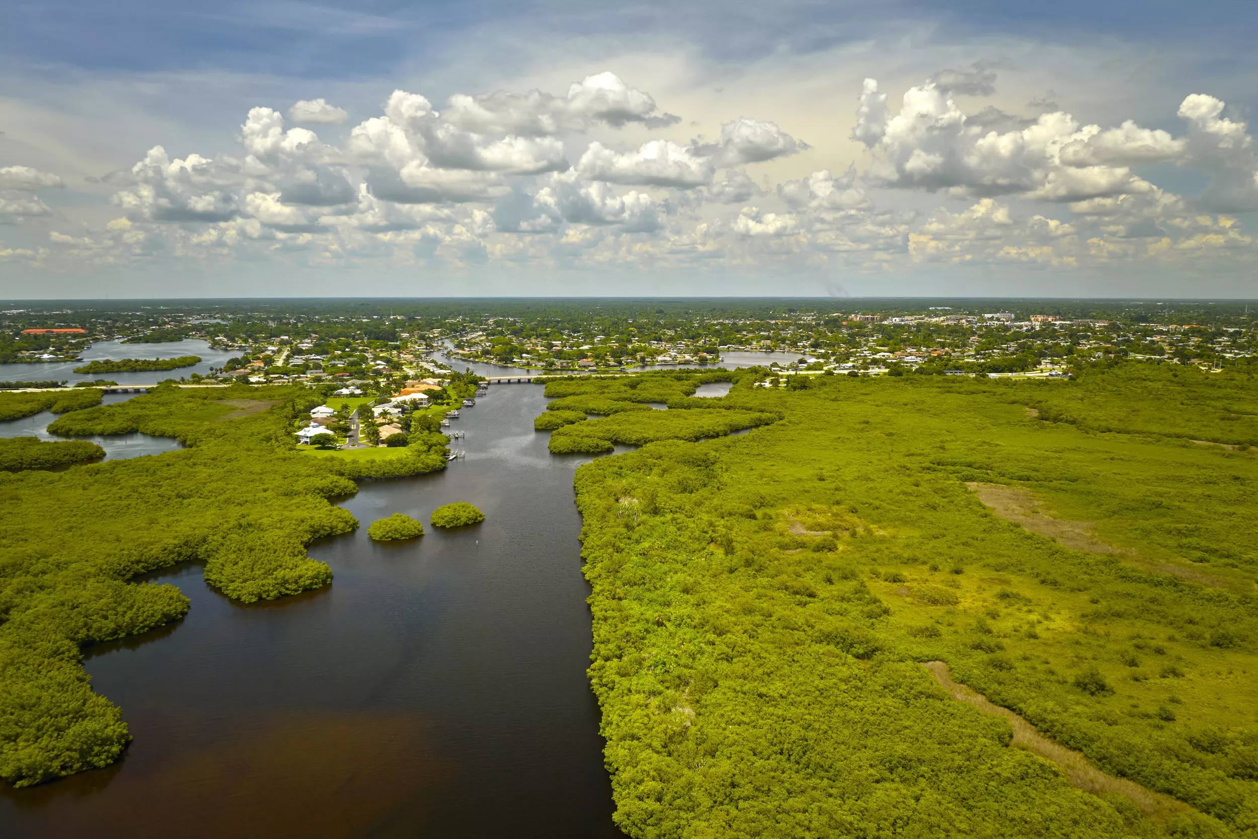 everglades-drying.webp?w=1600&h=900&q=88