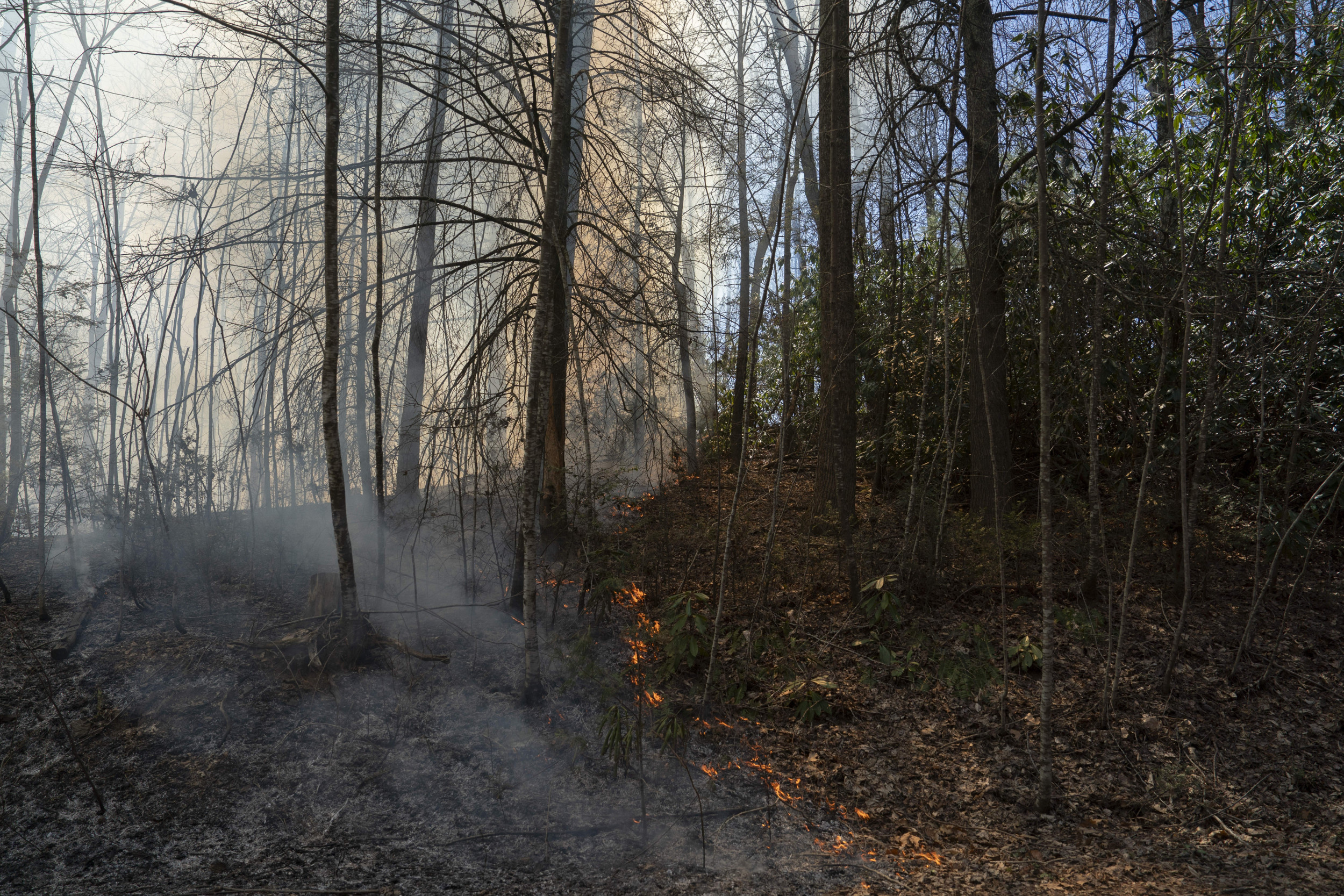Millions Told To Avoid Campfires in 4 States
