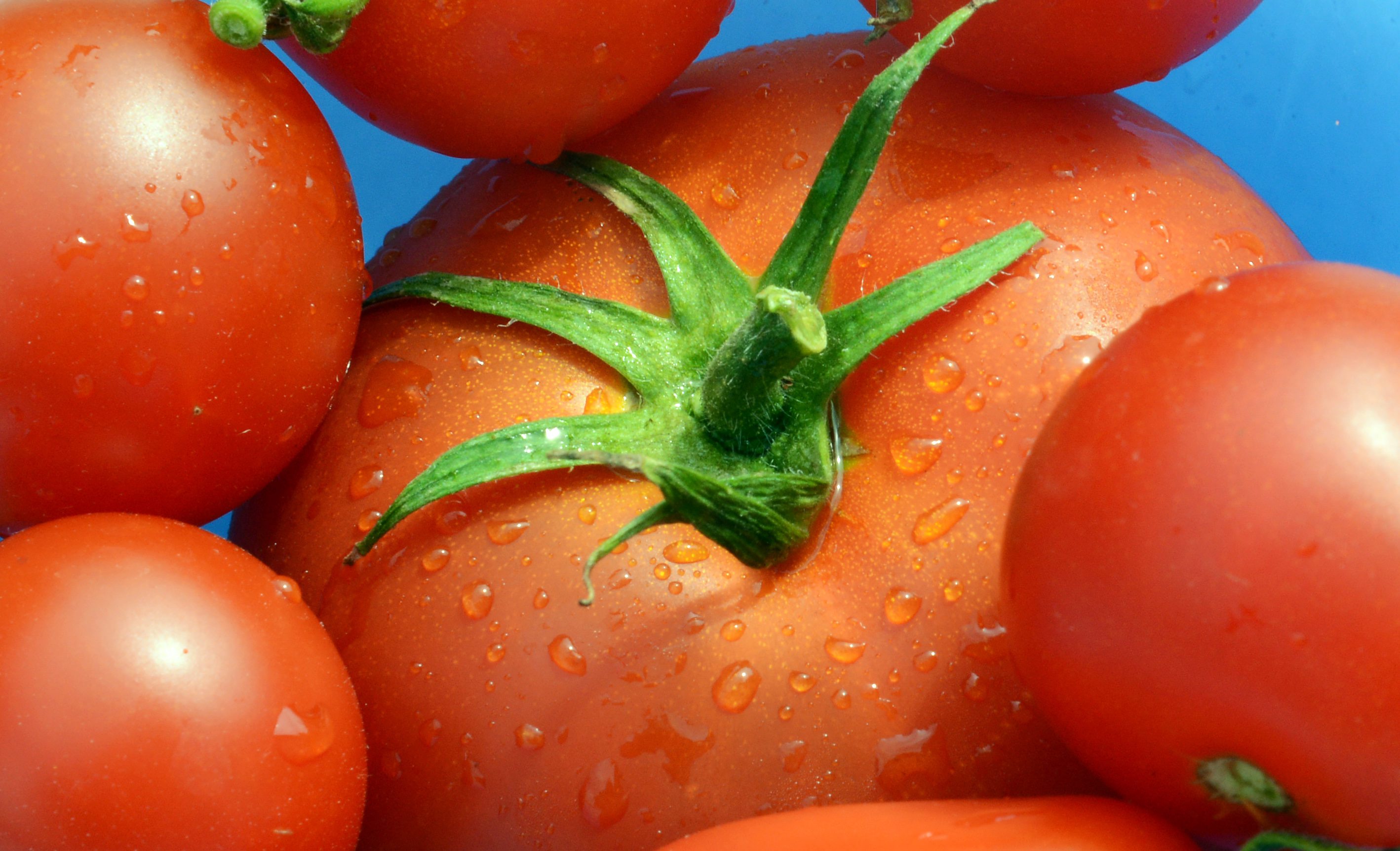 Tomatoes Recalled in 14 States as FDA Sets Highest Risk Level