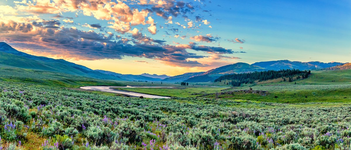 Vale Lamar do Parque Nacional de Yellowstone.