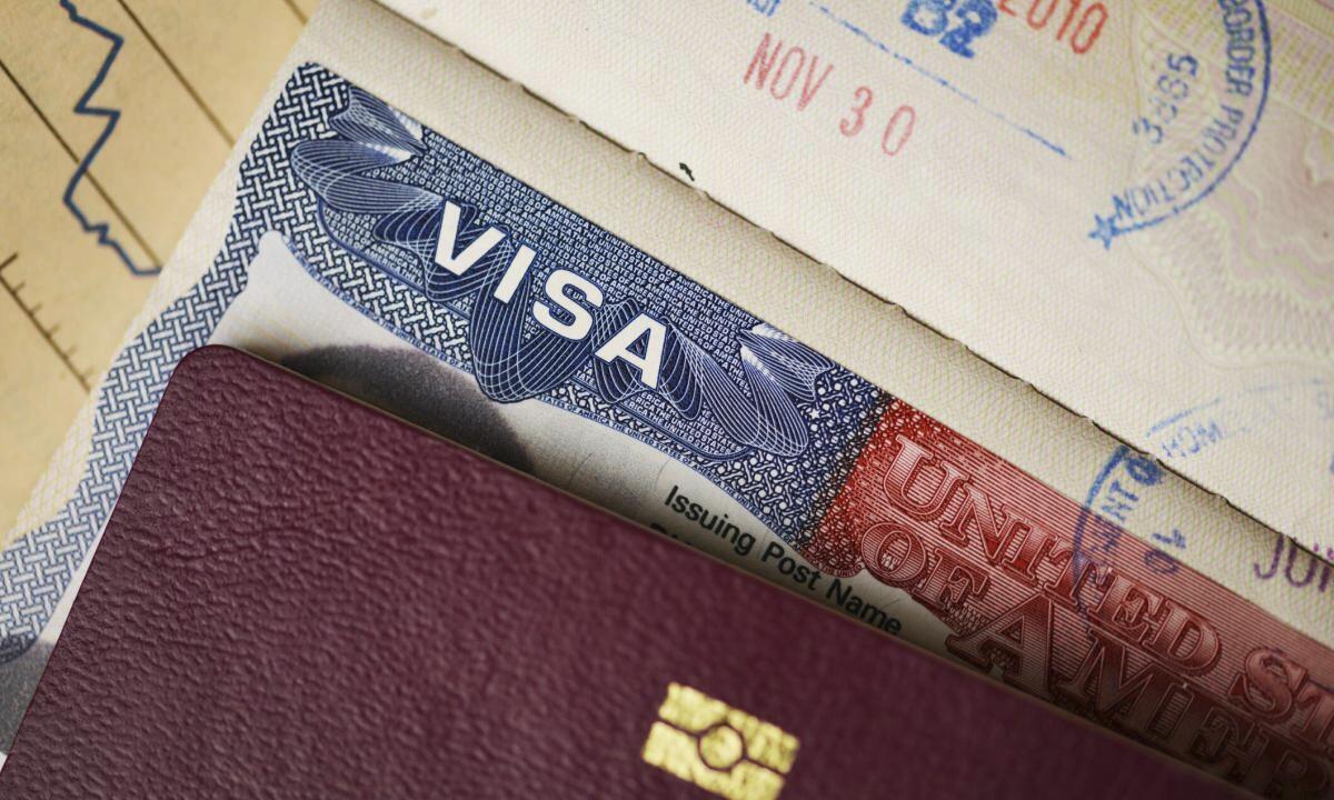 Trump Admin Selects 120,000 H-1B Visa Applications: What to Know