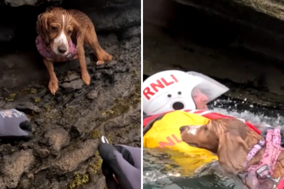 RNLI