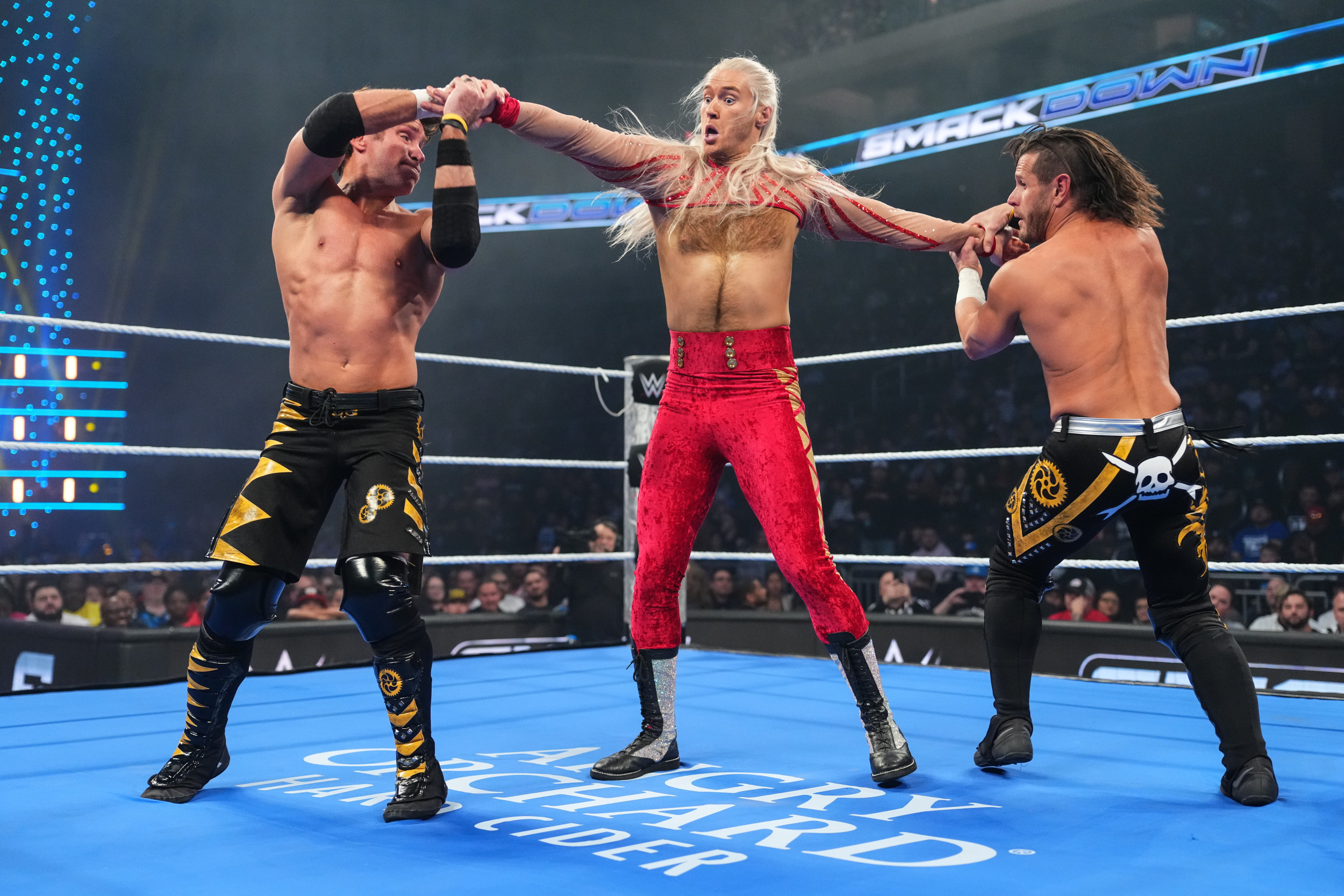 Multiple WWE Stars Miss WrestleMania 41 Card Amid Championship Absences
