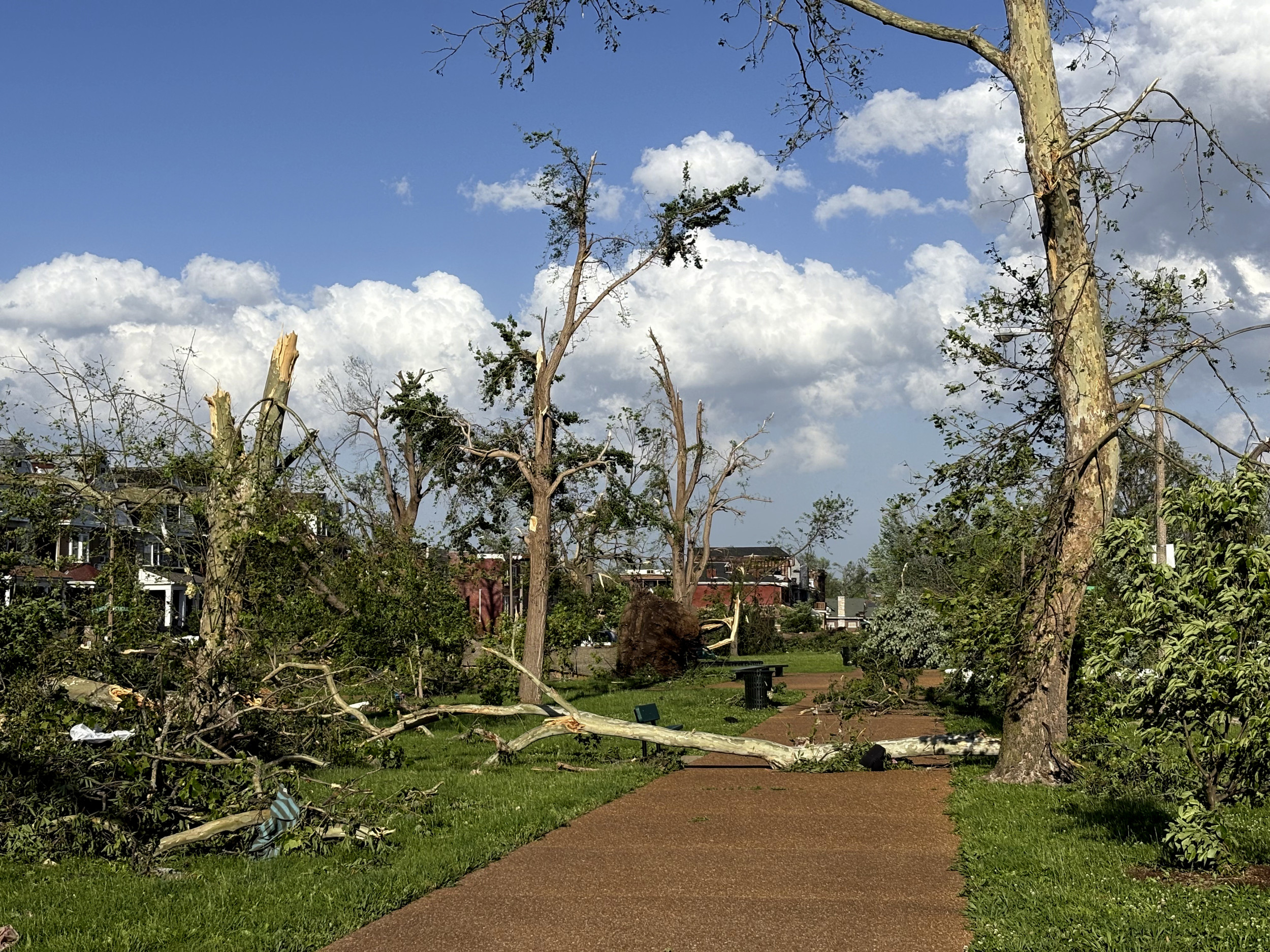Violent Tornadoes Leave 9 Dead Across Multiple States: What To Know