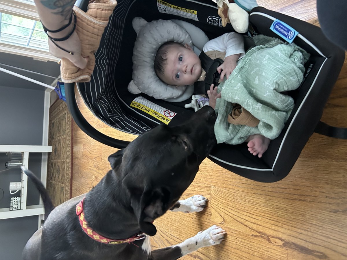 Rocky and Penelope.